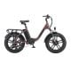 E-BIKE RADAR 20X2.40 7V TAM 16,5 MOTOR 350W BATERIA 10.4AH 36V VINHO