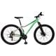 KIT FEMININO ALUM 29 T15 BICOLOR VERDE/CINZA